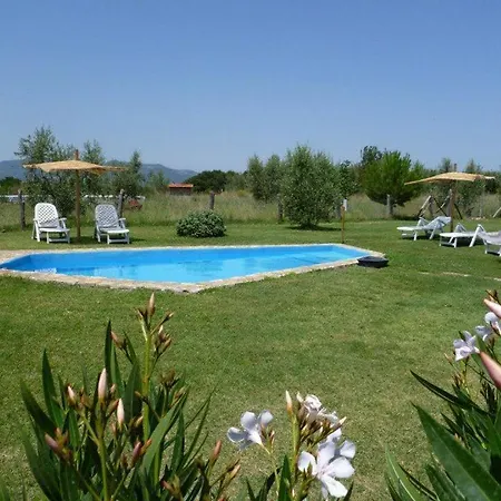 Villa Sleeps 9 Pool Wifi Pitigliano