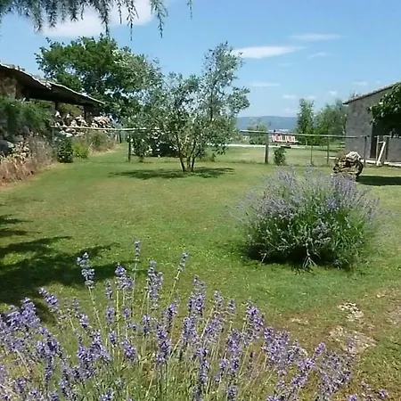 Villa Sleeps 9 Pool Wifi Pitigliano